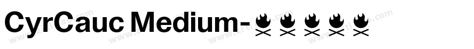 CyrCauc Medium字体转换